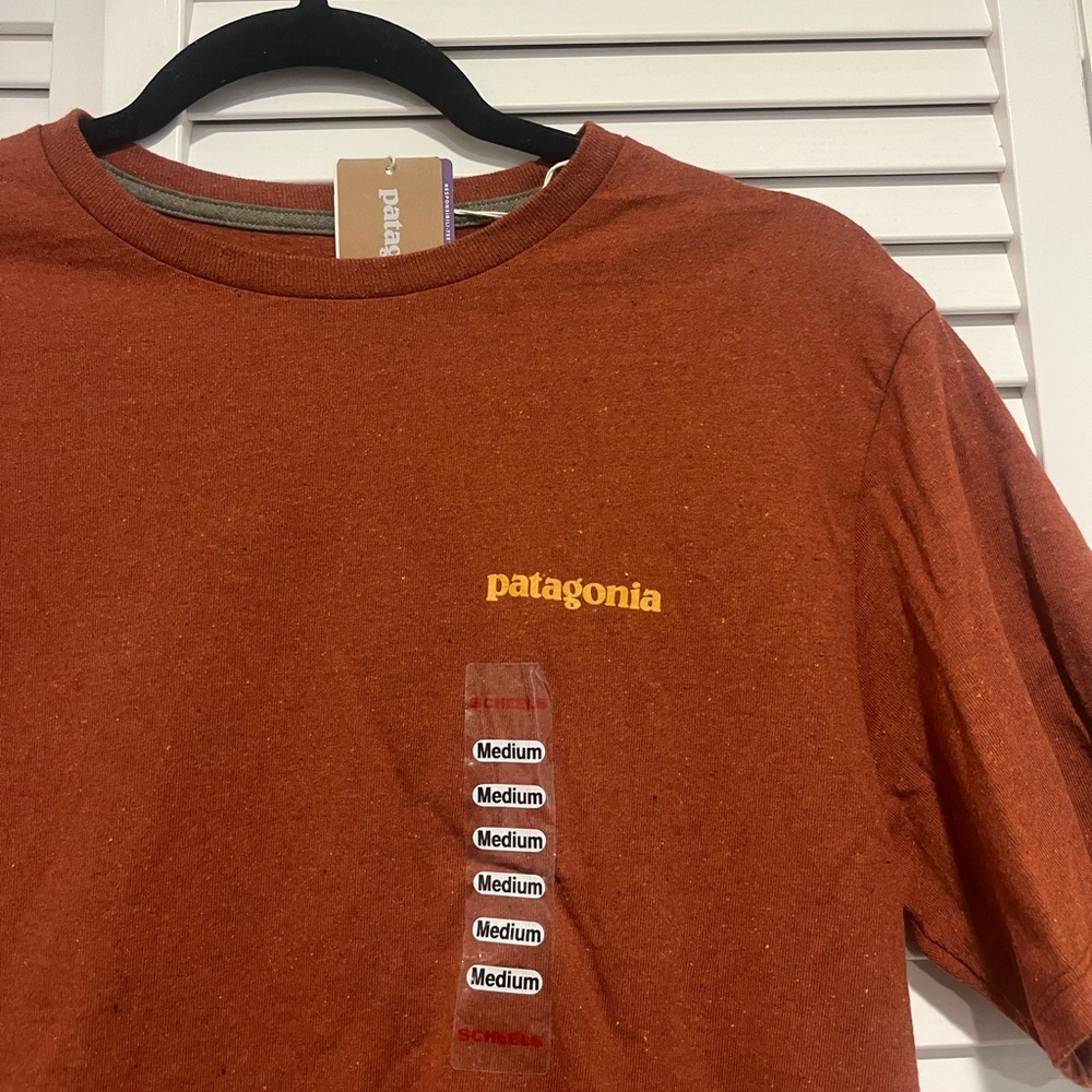 Patagonia Responsibili-Tee